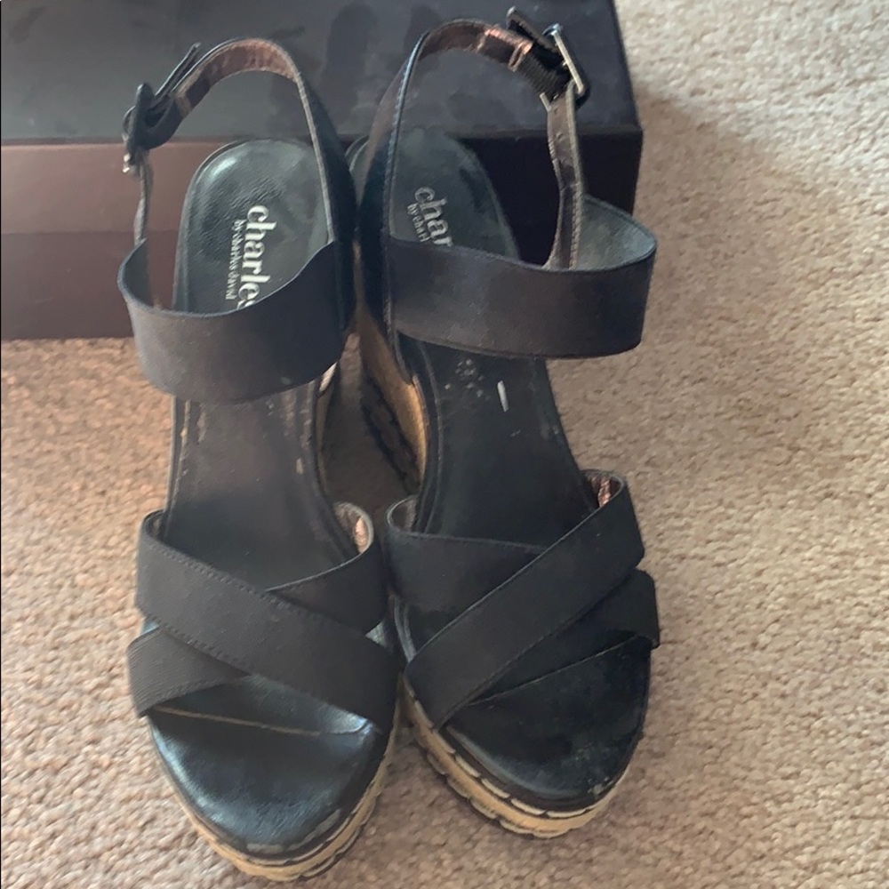 Charles and david wedges